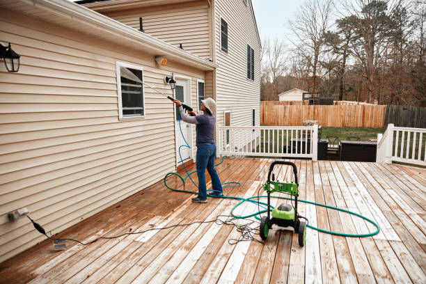 Deck Cleaning Services in Homer, IL